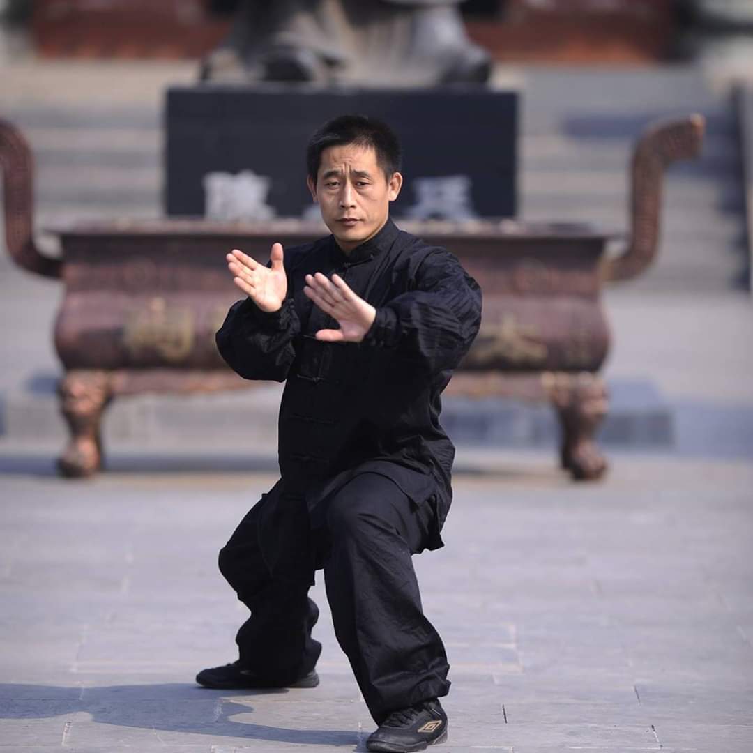 BuddhasWächter Meister Chen Ziqiang und die Geschichte Chenjiagous